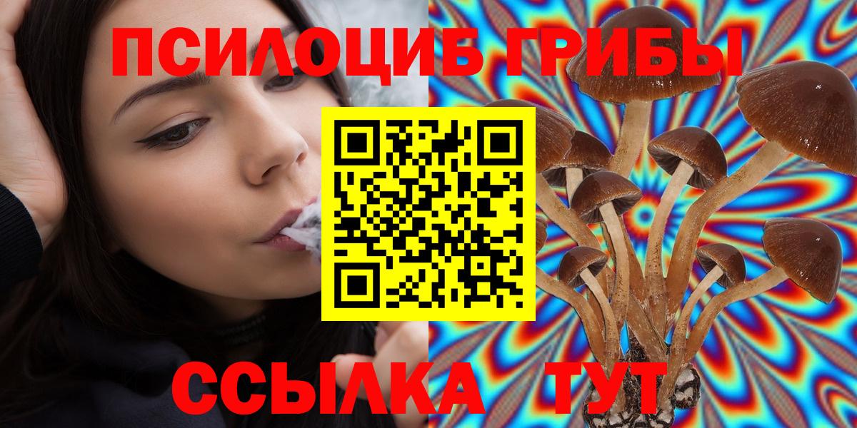 Галлюциногенные грибы Magic Shrooms Кохма