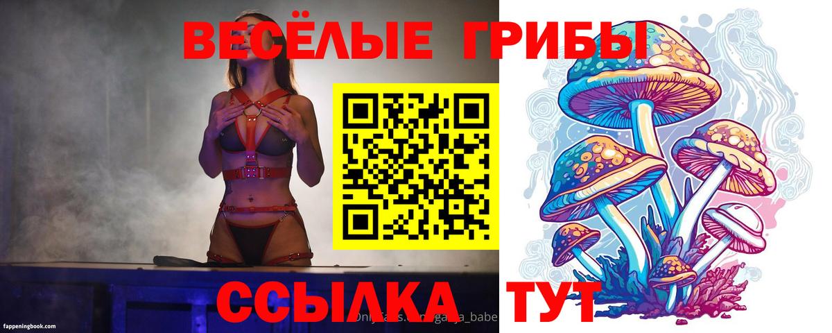 Галлюциногенные грибы прущие грибы  Псилоцибиновые грибы мицелий  Вход с VPN  Кохма 